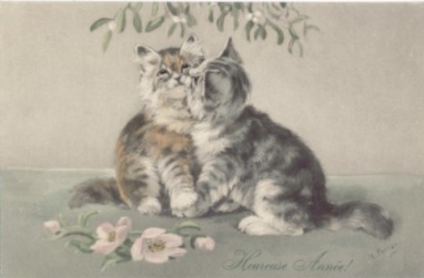 Cats postcard