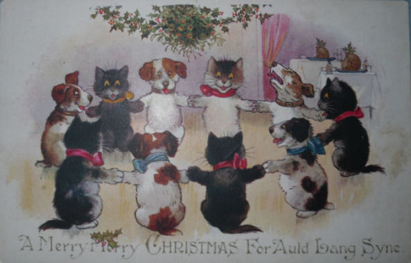 Inter Art Black Cats postcard