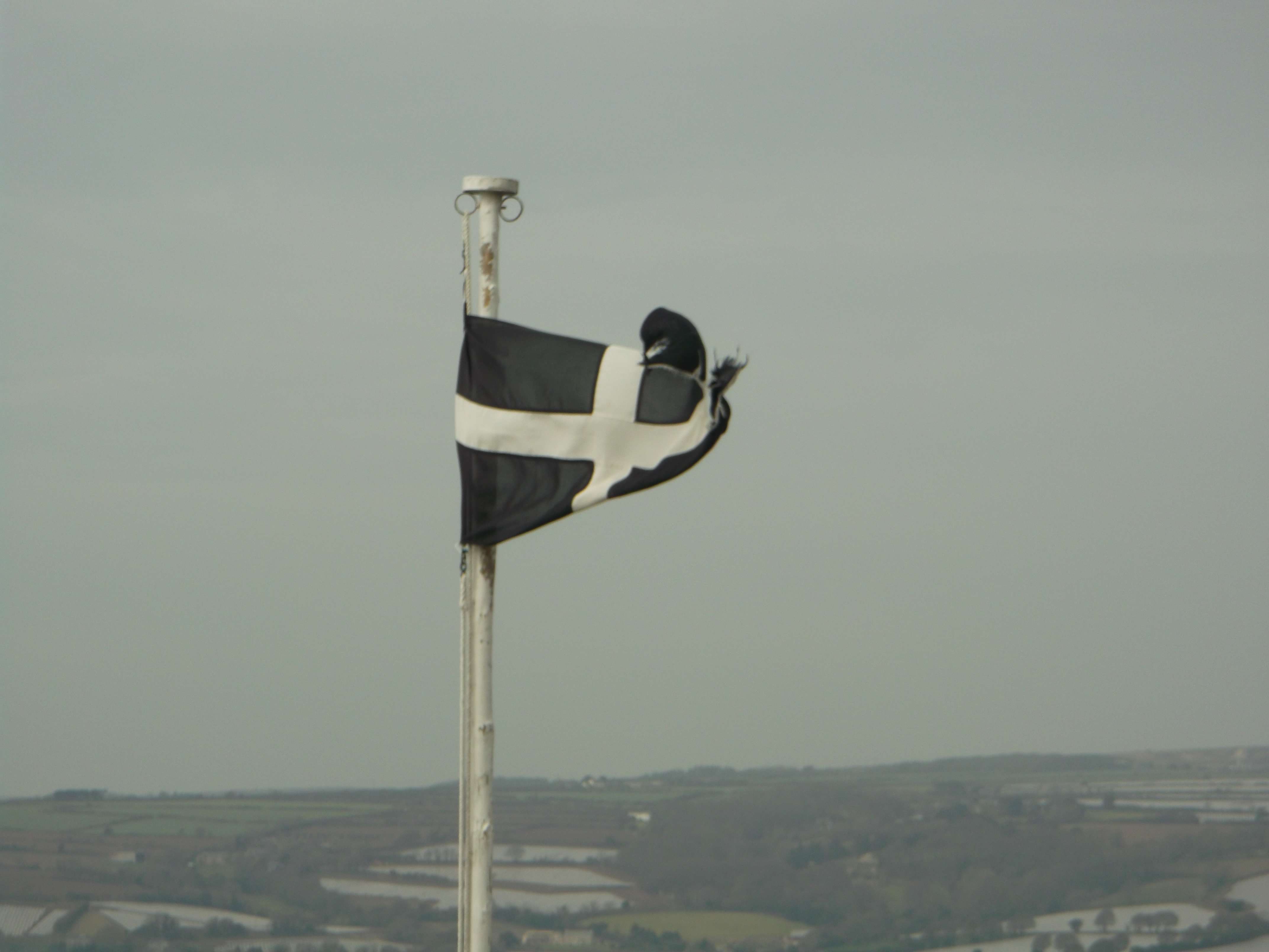 St Piran's Day - St Michael's Mount